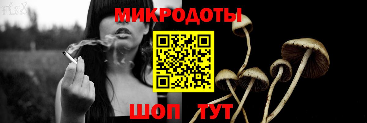 Берёзовский  Галлюциногенные грибы мухоморы  Вход с VPN 